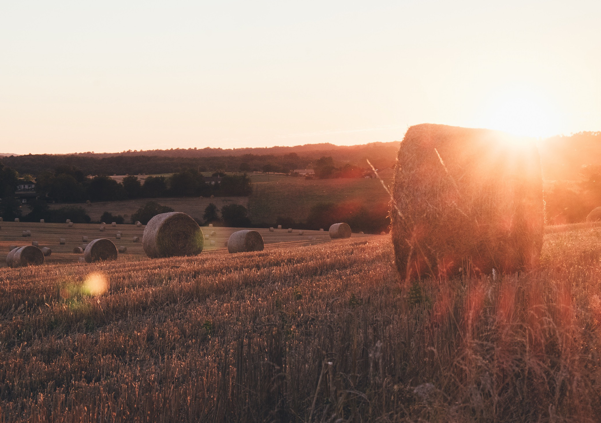 FARMLAND SERVICES

Three West is your go-to resource for agricultural properties in Michigan.

Search farmland properties currently for sale Resources for buying or selling farmland properties
